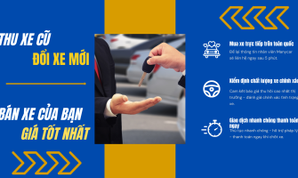 Manycar chuyên mua bán các dòng xe Ford cũ